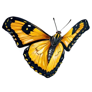 Bright Yellow Butterfly PNG Kxf37 PNG