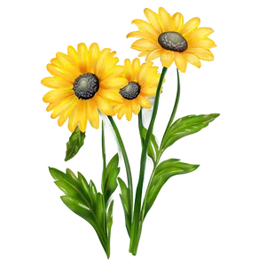 Bright Yellow Daisy Clipart Png 06292024 PNG image