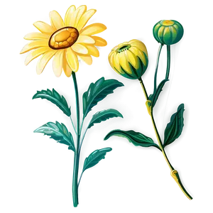 Bright Yellow Daisy Clipart Png 06292024 PNG image