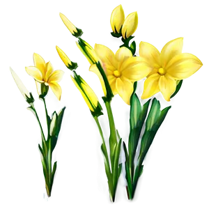 Bright Yellow Flowers Png 24 PNG image