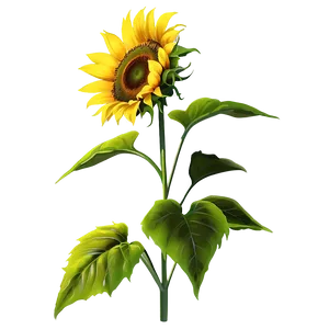 Bright Yellow Sunflower PNG 82