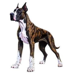 Brindle Great Dane Png 06212024 PNG image