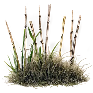 Brittle Dead Grass PNG 06282024