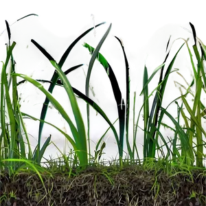 Brittle Dead Grass PNG 28
