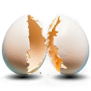 Broken Eggshell Art PNG 91 PNG