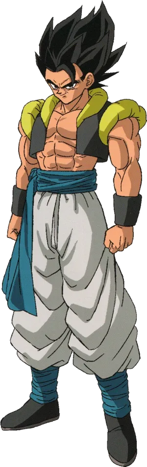 Broly D B Z Character Standing Pose PNG image