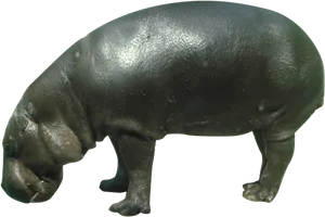 Bronze Hippopotamus Sculpture PNG image