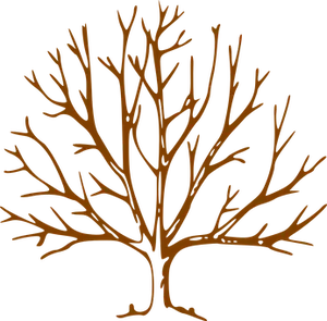 Bronze Tree Silhouette