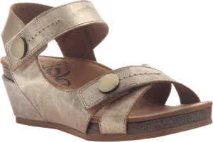 Bronze Wedge Sandal Side View PNG