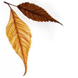 Brown Autumn Leaves Png Gqu PNG image