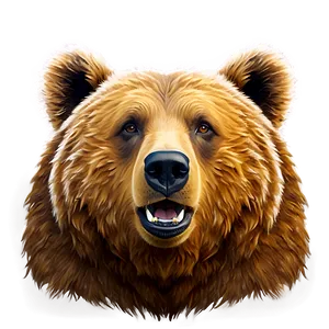 Brown Bear Face Design Png 06292024 PNG image