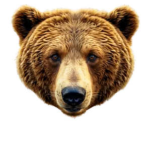 Brown Bear Face Design Png Xsr12 PNG image