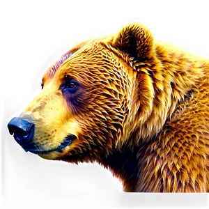 Brown Bear Head Artwork PNG Jvk94 PNG