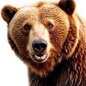 Brown Bear PNG 05032024