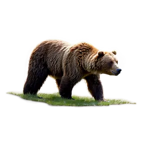 Brown Bear Png Jmn PNG image