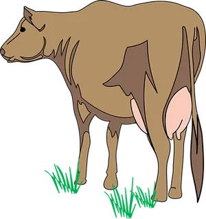 Brown Cow Illustration PNG image