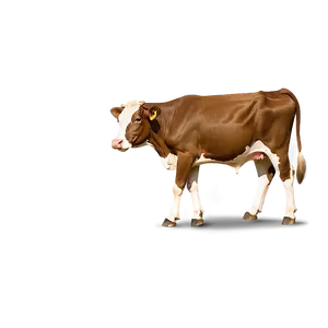 Brown Cow Png Akw35 PNG image