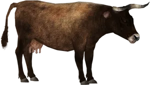 Brown Cow Profile PNG image