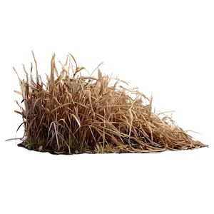 Brown Dead Grass Png Udt PNG image