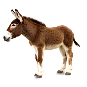 Brown Donkey PNG 05232024
