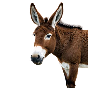 Brown Donkey PNG 22