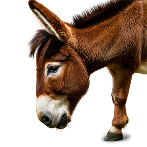 Brown Donkey PNG Jos28
