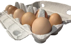 Brown Eggsin Carton PNG image