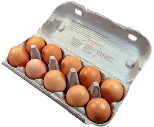 Brown Eggsin Carton PNG image