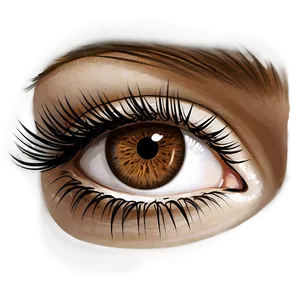 Brown Eyelash Extensions PNG 55 PNG