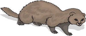 Brown Ferret Illustration.png PNG
