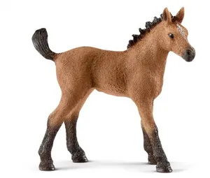 Brown Foal Figure Standing PNG image
