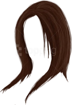 Brown Hair P N G Overlay PNG image