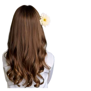Brown Hair With Flowers Png Tdo80 PNG image