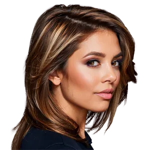 Brown Hair With Highlights Png Jsj53 PNG image