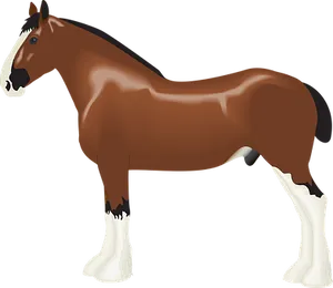 Brown Horse White Markings Vector
