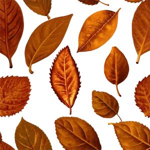 Brown Leaf PNG 05032024