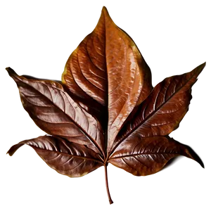 Brown Leaf PNG Crn5 PNG