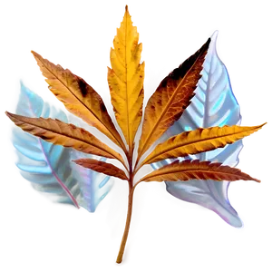 Brown Leaf PNG Mhl PNG
