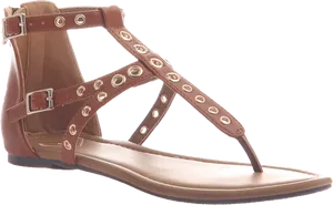 Brown Leather Gladiator Sandal PNG