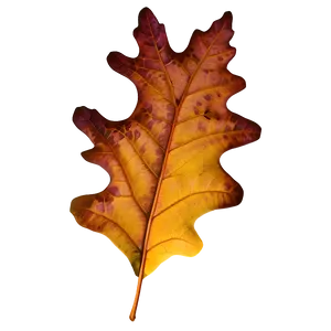Brown Oak Leaf Fall Png 52 PNG image