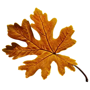 Brown Oak Leaf Fall Png Ias PNG image