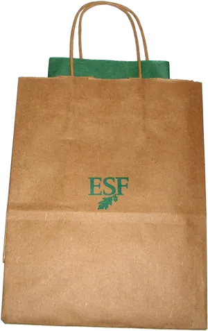 Brown Paper Tote Bagwith Green Handles PNG image