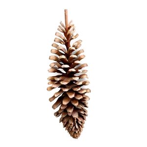 Brown Pine Cone Png Csg34 PNG image