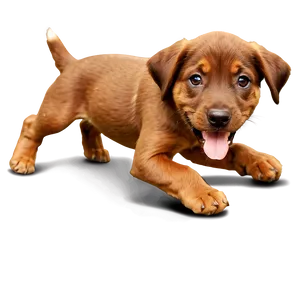 Brown Puppy PNG 05062024
