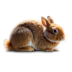 Brown Rabbit PNG 69