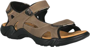 Brown Sports Sandal Product Image PNG image