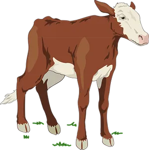 Brownand White Calf Illustration PNG image