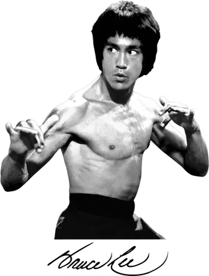 Bruce Lee Classic Fighting Stance PNG image