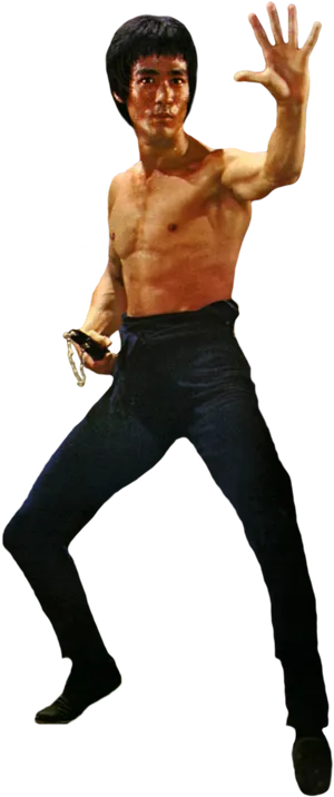 Bruce Lee Classic Fighting Stance PNG image