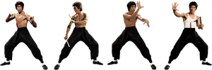 Bruce Lee Iconic Martial Arts Poses PNG image